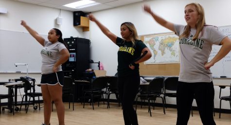 The Cost Of School Spirit: Cheer Squad Low On Funds
