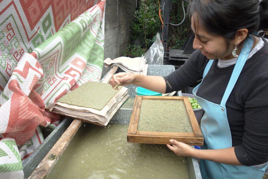 Forming the water lily fibers into paper. Photo: Esteban Silva