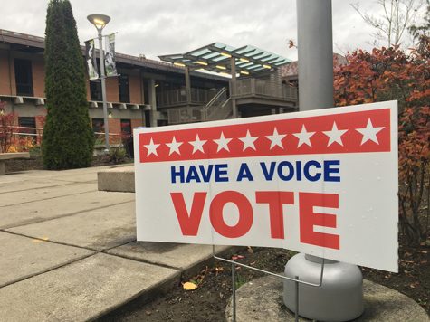 To Vote or Not to Vote?