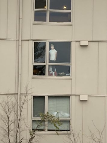 the cutout in the window of the dorms
