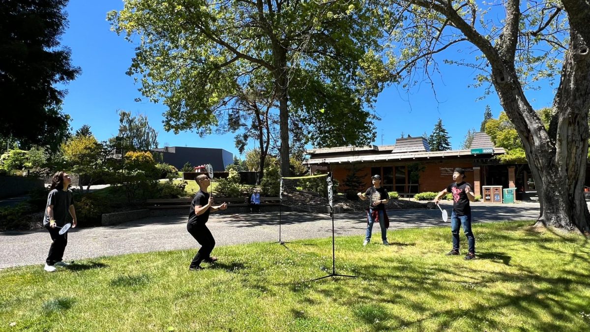 A quartet of badminton players makes good use of the sunny afternoon.