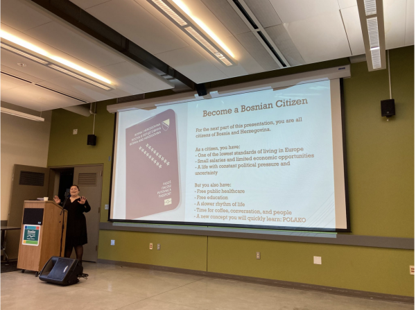 Navigation to Story: Your Journey to Bosnia and Herzegovina Citizenship with Bojana Ilić